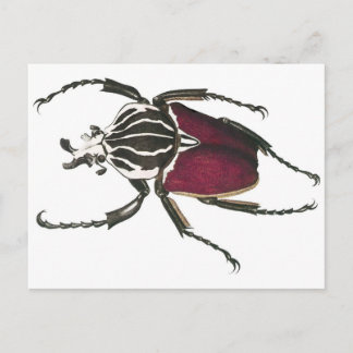 Goliath Beetle Postkarte