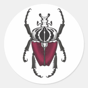 Goliath-Käfer Runder Aufkleber