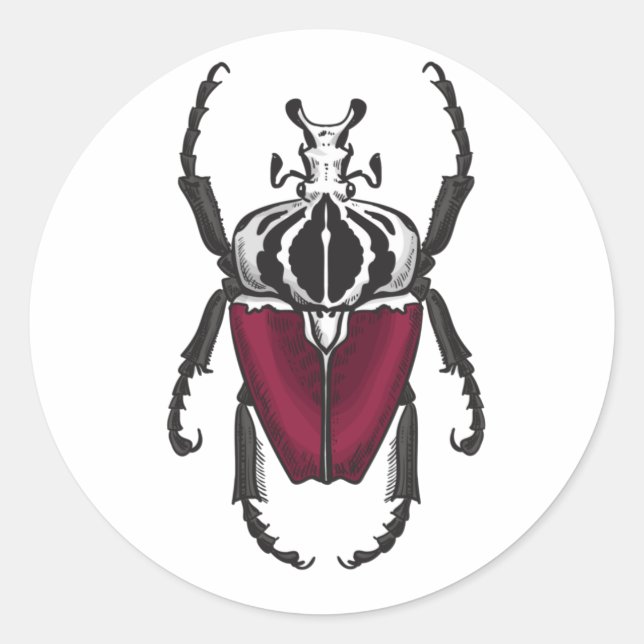 Goliath-Käfer Runder Aufkleber (Vorderseite)