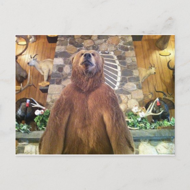 Goliath Space Farms Zoo Weltgrößter Bär Postkarte (Vorderseite)
