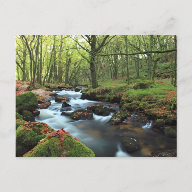 Golitha Falls Postkarte (Vorderseite)