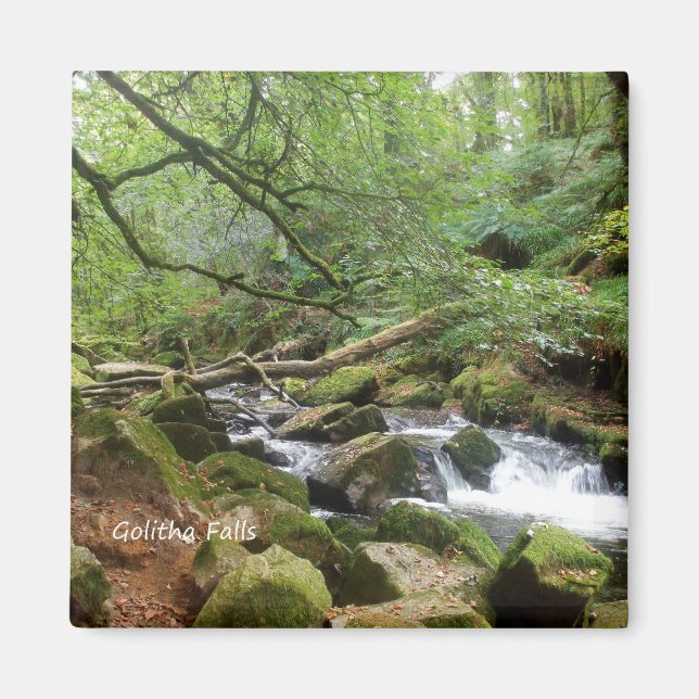 Golitha Falls River Fowey Cornwall England Magnet (Vorne)