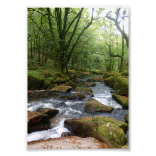 Golitha fällt Fluss Fowey Cornwall England Fotodruck