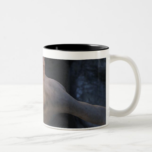 GOLLUM™ Nah up Zweifarbige Tasse (Rechts)
