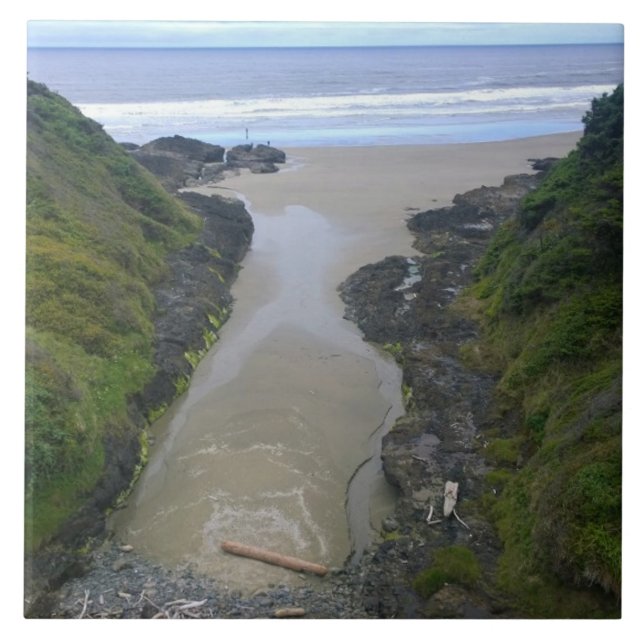 Good Fortune Cove, Cape Perpetua, ODER Fliese (Vorderseite)