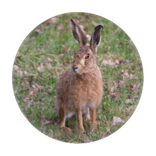 Good Hare Day Cutting Board Schneidebrett