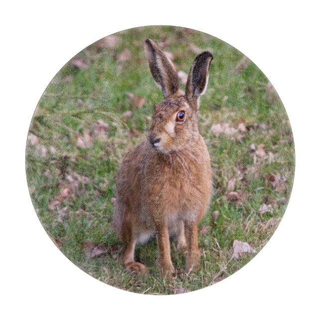 Good Hare Day Cutting Board Schneidebrett (Vorderseite)