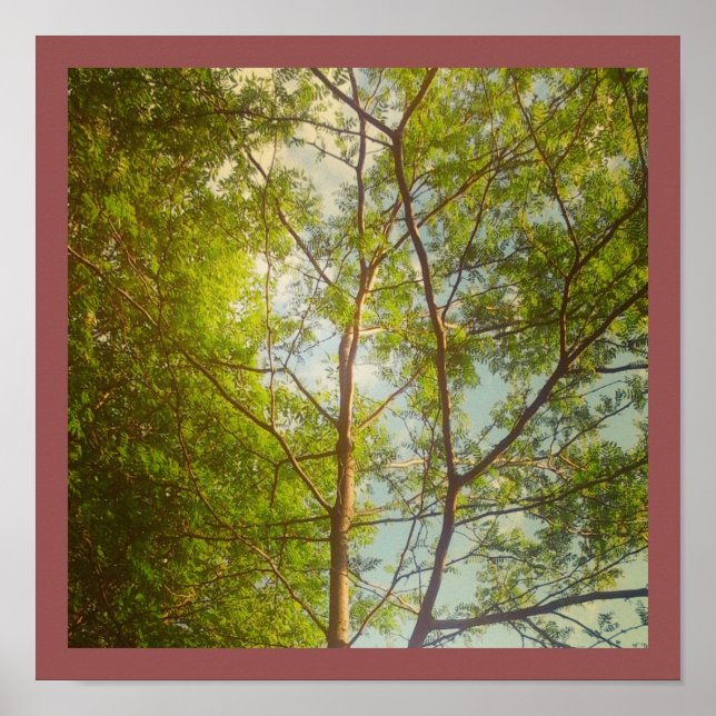 Good Morning Poster (Vorne)