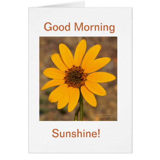 Good Morning, Sunshine! (Vorne)