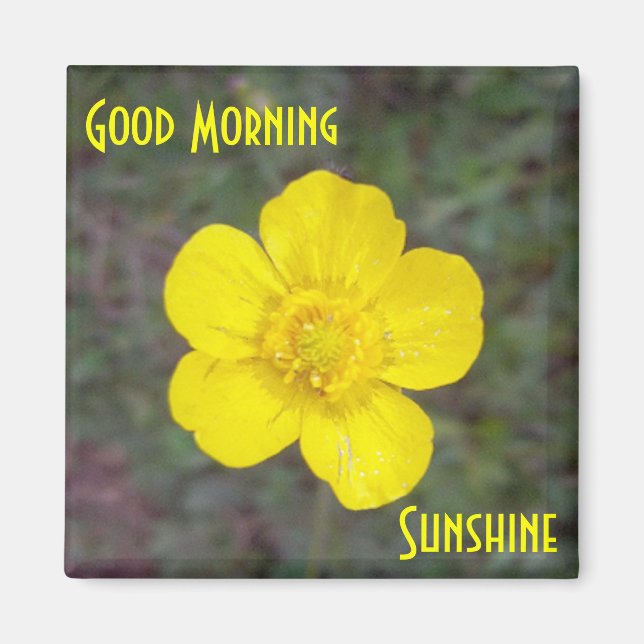Good Morning Sunshine Magnet (Vorne)