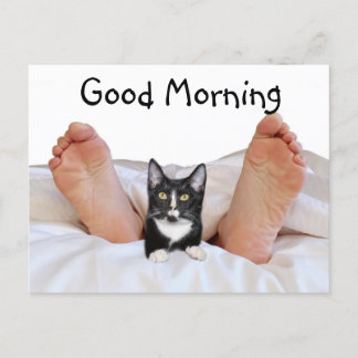 Good Morning Tuxedo kitty Postkarte
