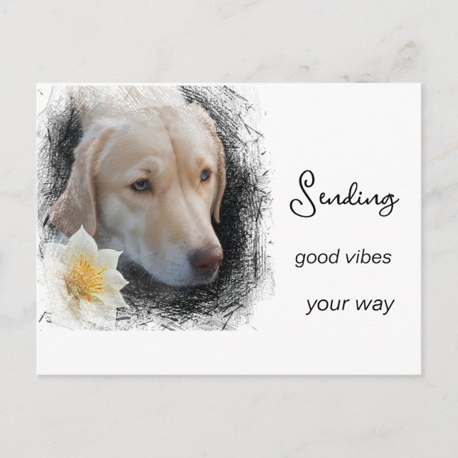 *~ Good Vibes Sad Gold Hund Blume AP61 Postkarte (Vorderseite)