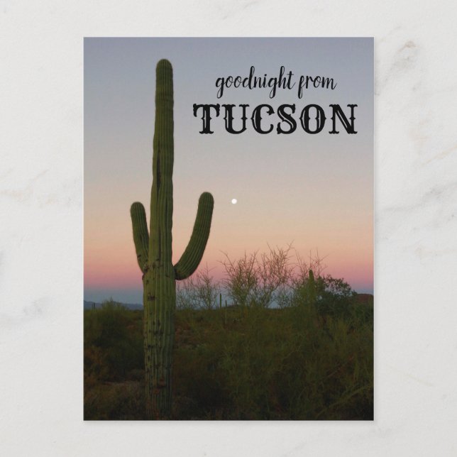 Goodnight von Tucson Saguaro Sunset Postkarte (Vorderseite)