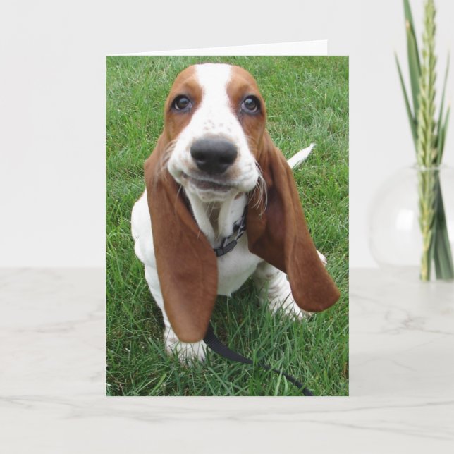 Goofy Basset Hound Grußkarte Karte (Vorderseite)