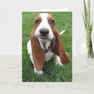Goofy Basset Hound Grußkarte Karte