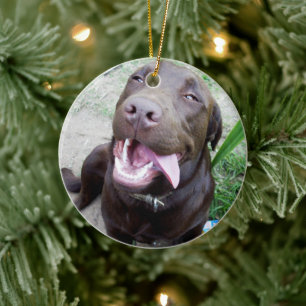 Goofy Delights: Chocolate Brown Labrador Puppy, Keramik Ornament