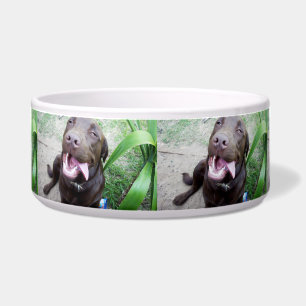 Goofy Delights: Chocolate Brown Labrador Puppy, Napf