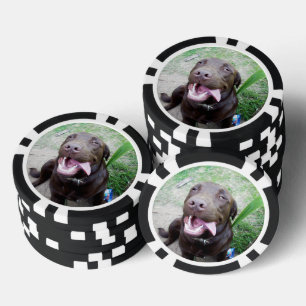 Goofy Delights: Chocolate Brown Labrador Puppy, Pokerchips