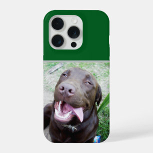 Goofy Delights: Schokoladenbrauner Labrador-Welpe, iPhone 15 Pro Hülle
