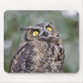 Goofy Eulen-Mauspad Mousepad