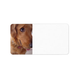 Goofy Golden Adressaufkleber