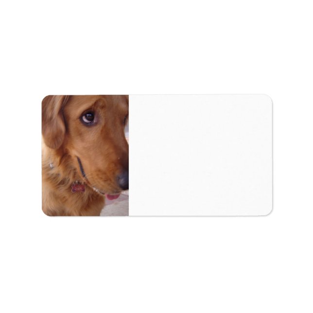 Goofy Golden Adressaufkleber (Vorne)