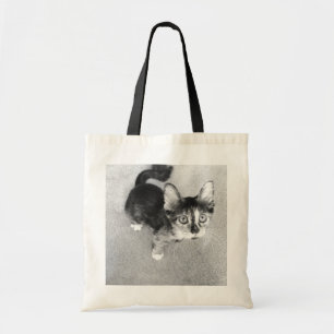 Goofy Kaliko-Kätzchen, wertvolle Haustier-Tasche Tragetasche