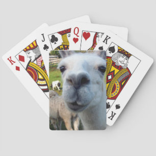 Goofy Llama Playing Cards Spielkarten