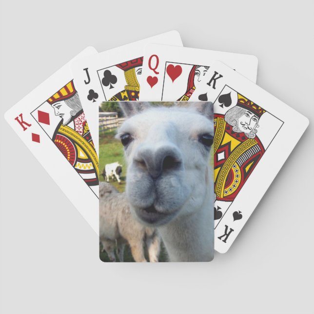 Goofy Llama Playing Cards Spielkarten (Rückseite)