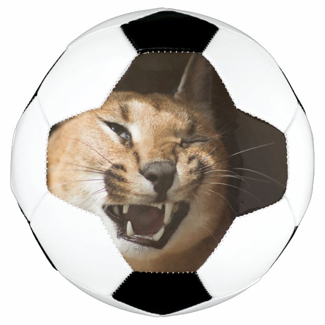 Goofy Lynx Fußball (Vorderseite)