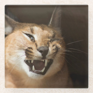 Goofy Lynx Glasuntersetzer