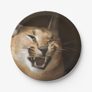 Goofy Lynx Pappteller