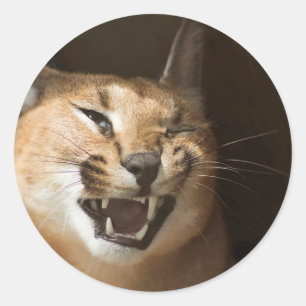 Goofy Lynx Runder Aufkleber