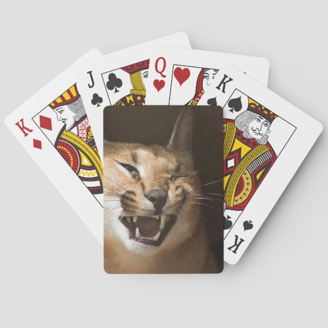 Goofy Lynx Spielkarten (Rückseite)