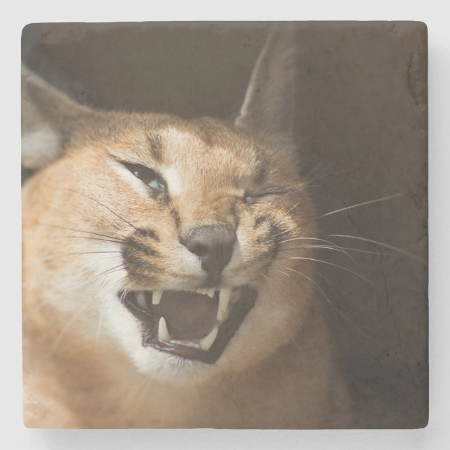 Goofy Lynx Steinuntersetzer (Vorderseite)