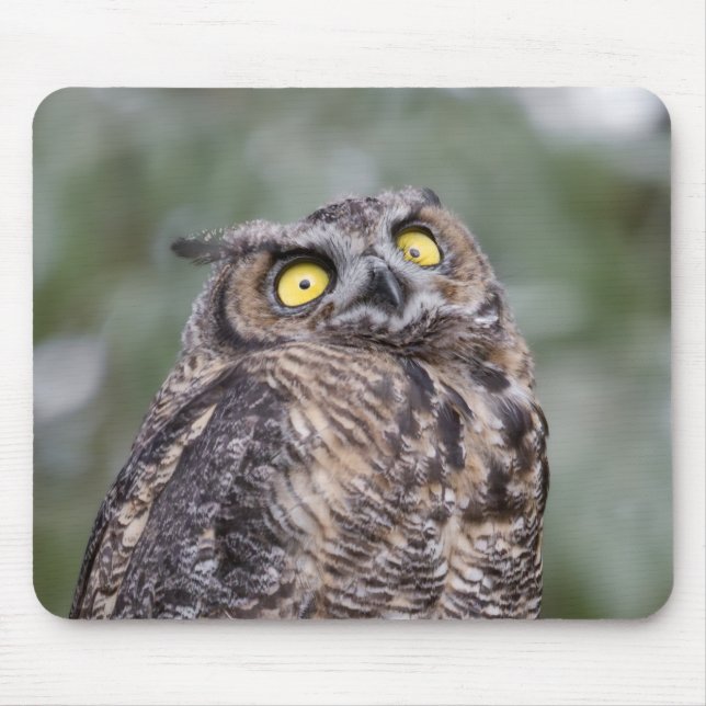 Goofy Owl Mousepad (Vorne)