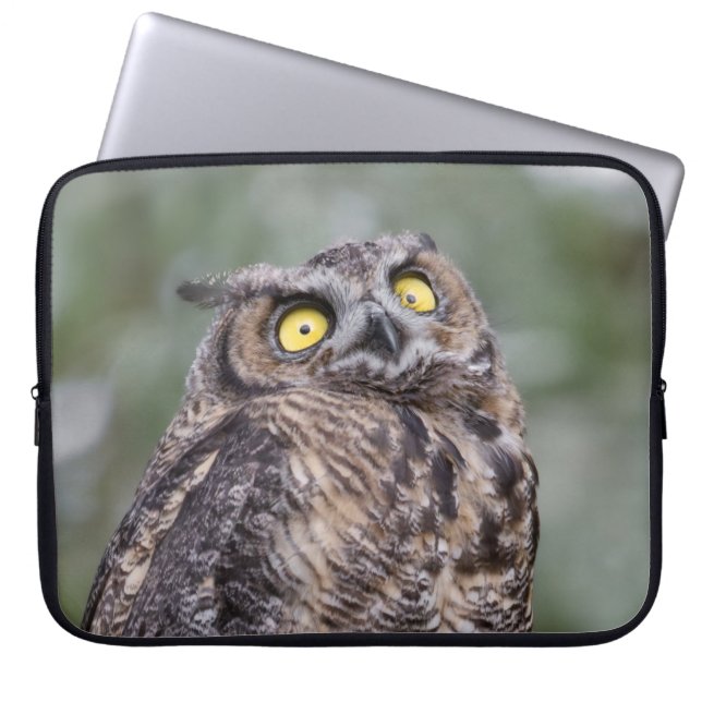 Goofy Owl Neoprene Laptop Sleeve (Vorderseite)