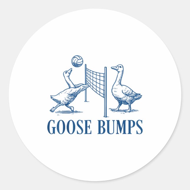 Goose Bumps Volleyball  Runder Aufkleber (Vorderseite)