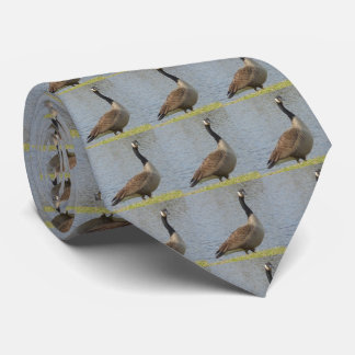 Goose By Pond Tie Krawatte
