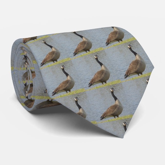Goose By Pond Tie Krawatte (Gerollt)
