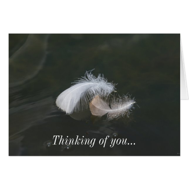 Goose Feathers Floating (Vorderseite (Horizontal))