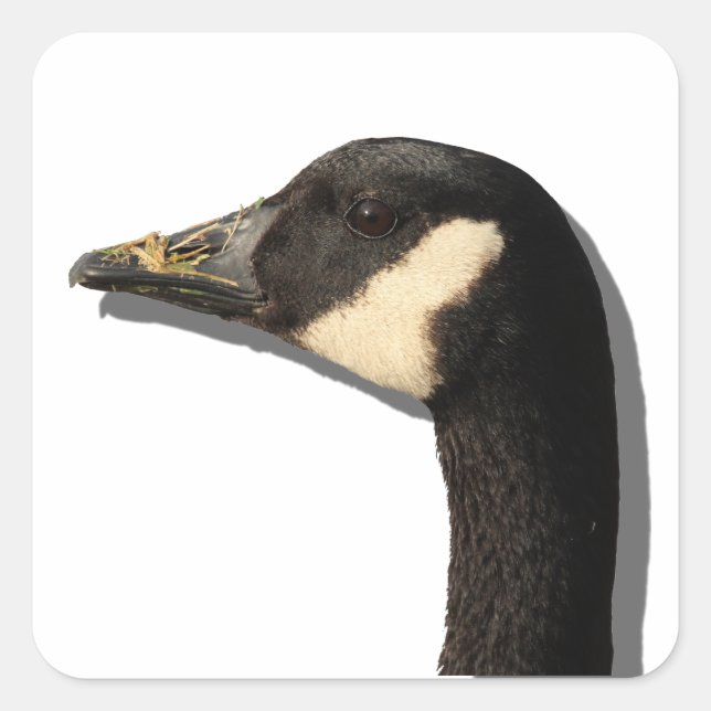 Goose Head Sticker (Vorderseite)
