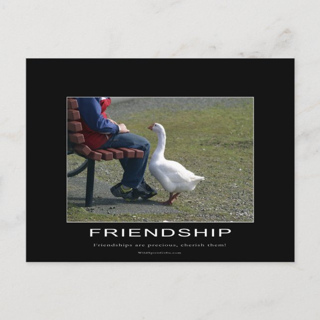 Goose & Little Boy Freundschaft Postkarte (Vorderseite)