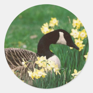 GOOSE MIT DAFFODILS RUNDER AUFKLEBER