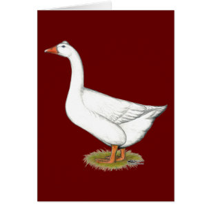 Goose Roman Tufted