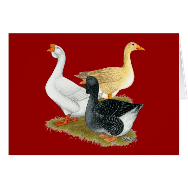 Goose Trio (Vorderseite (Horizontal))