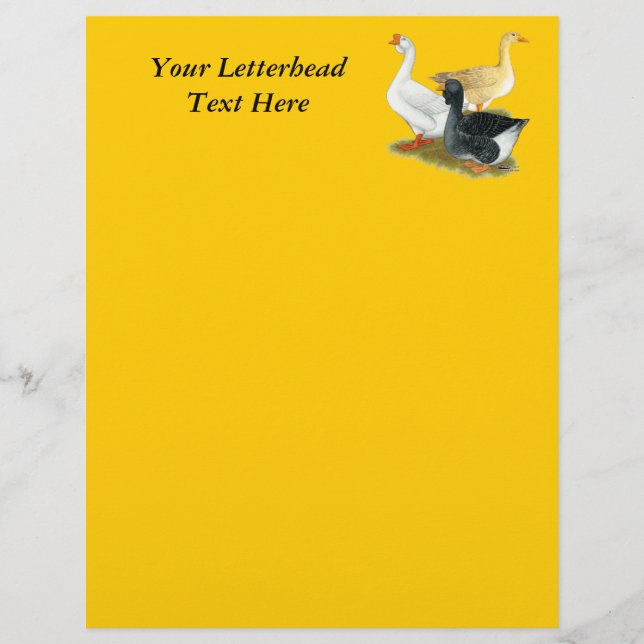 Goose Trio (Vorderseite)