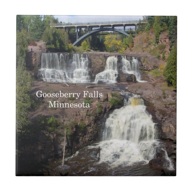 Gooseberry Falls tile Fliese (Vorderseite)