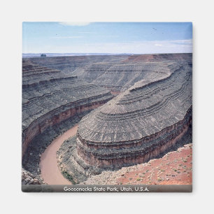 Goosenecks Staat Park, Utah, USA Magnet