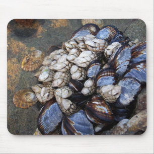 Goosenecks und Miesmuscheln Mousepad